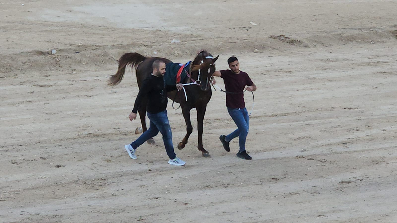 WhatsApp Image 2023-01-07 at 12.08.41 PM (1).jpeg